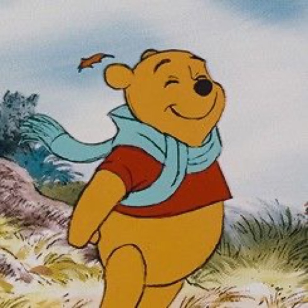Meet your Posher, Pooh